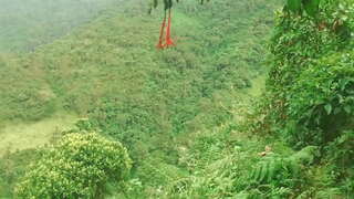 Colombian in Silva Dare Lingua, et Sapor Alieni Sexus in Commutationem Pro Financial Auxilium.