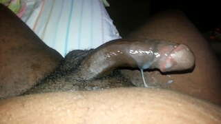 تمثال نصفي الجوز