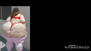 **DELLAFRANGO VIDX** GRAND PAWG LEVRETTE